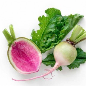 Radis red meat (Bio) 500gr