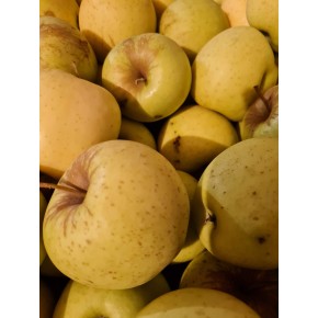 Pommes BIO Deljonca d'Alsace (500g) - Proxieat