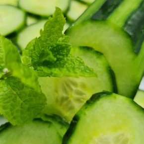 Concombre long bio (pièce)