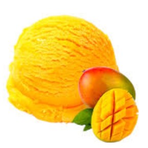 Sorbet Mangue 500ml