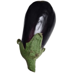 Aubergines bio