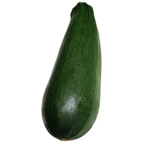 Courgettes longues vertes bio