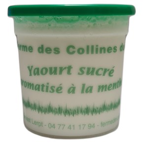 Yaourt bio aromatisé menthe