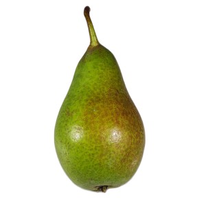 Poire Louise Bonne bio