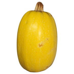 Courge Spaghetti bio (env....