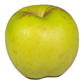 Pomme Golden bio