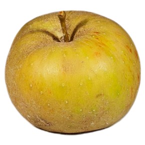 Pomme Belle de Boskoop bio