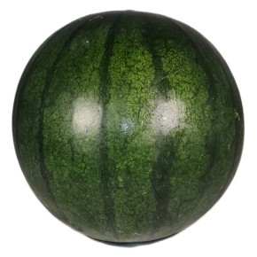 Pastèque bio