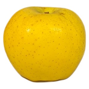 Pomme Chanteclerc bio