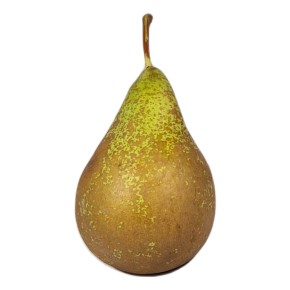 Poire Conférence bio