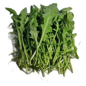 Roquette bio