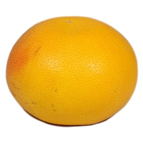 Pamplemousse rose bio