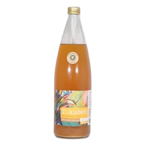 Kombucha thé noir / vanille 1L