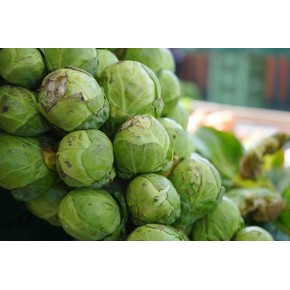 Chou de Bruxelle bio