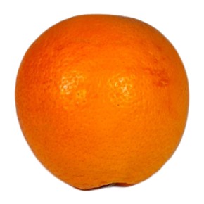 Orange Sanguinello bio