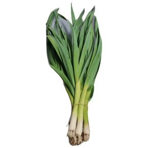 Aillet botte bio