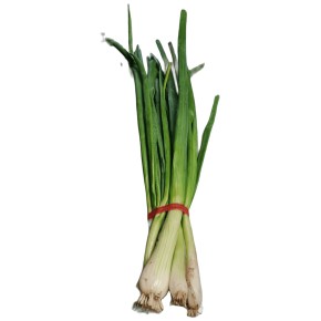 Oignons botte bio