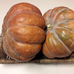 Courge muscade - 1,5 Kg (Bio)