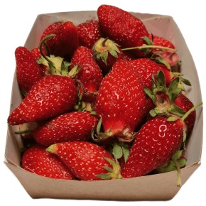 Fraise bio 250 g