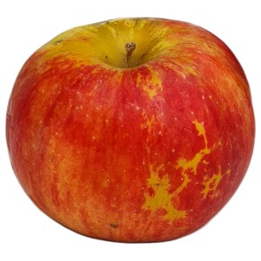 🍎 Pommes Idared en...