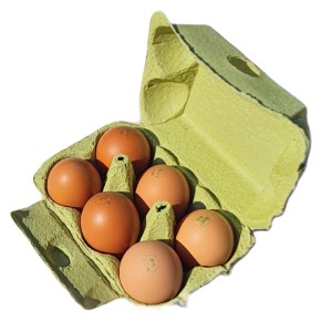 Oeufs bio X6