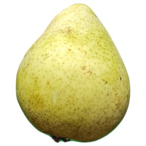 Poire Guyot bio