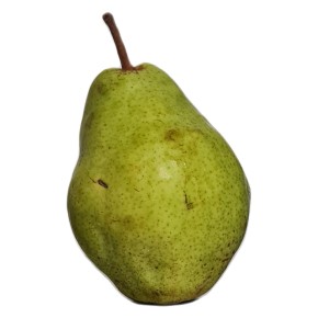 Poire Arrow Bounty bio