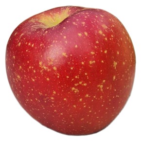 Pomme Topaz bio