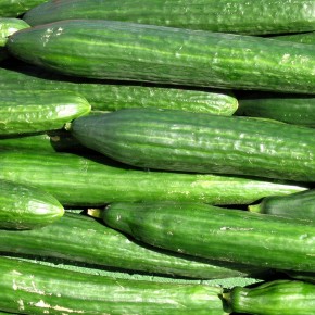 Concombre (Bio) 1Kg