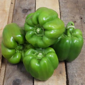 Poivron vert (Bio) 500gr