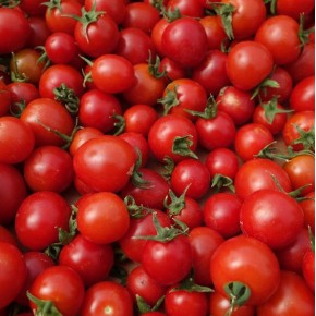 Tomate Cerise (Bio) 250gr